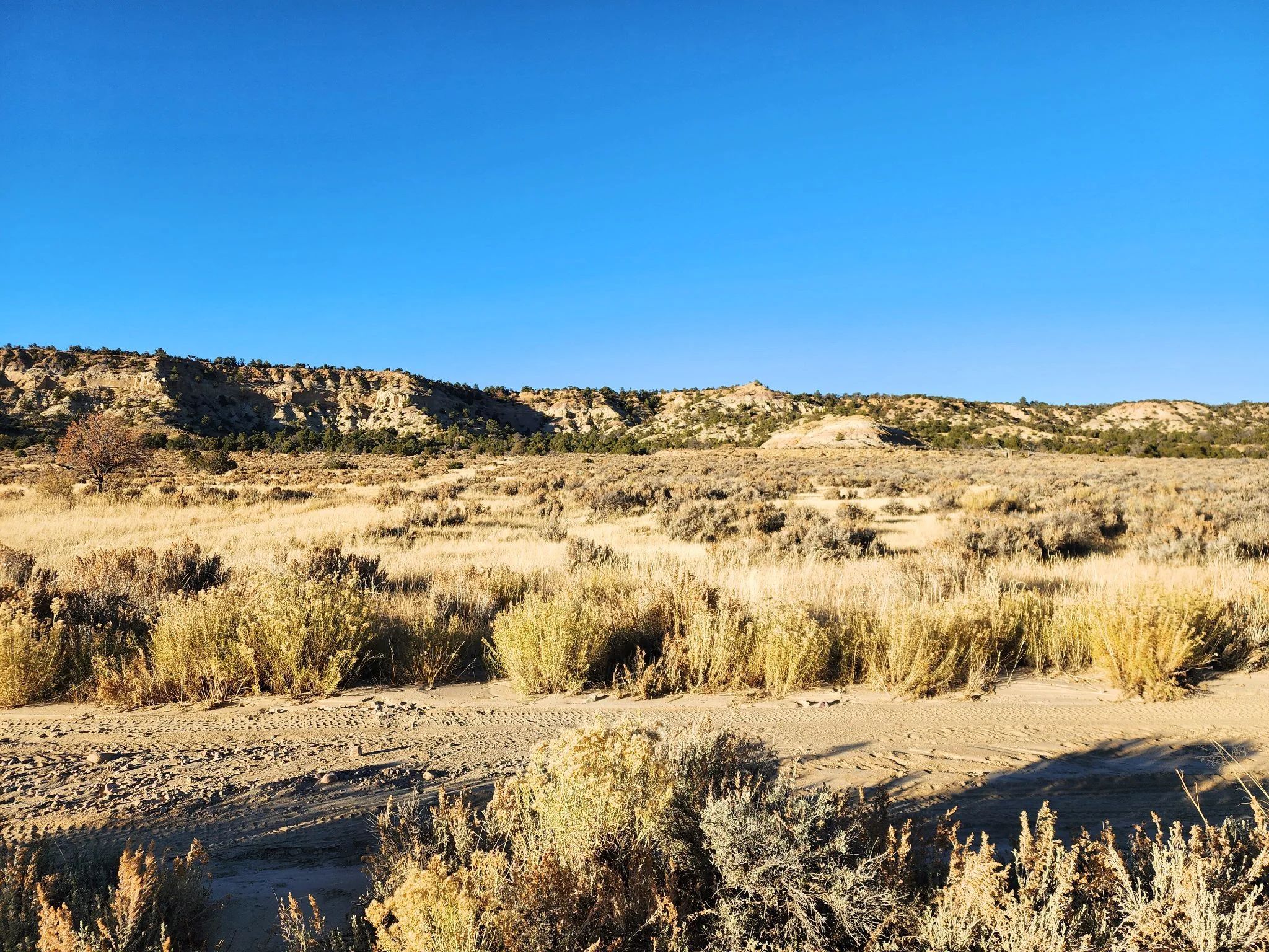 Spacious Desert Living on 6-Acres - Enjoy the Wilderness with & Water Available - Image 2