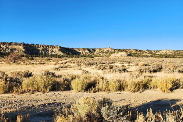 Spacious Desert Living on 6-Acres - Enjoy the Wilderness with & Water Available - Image 2