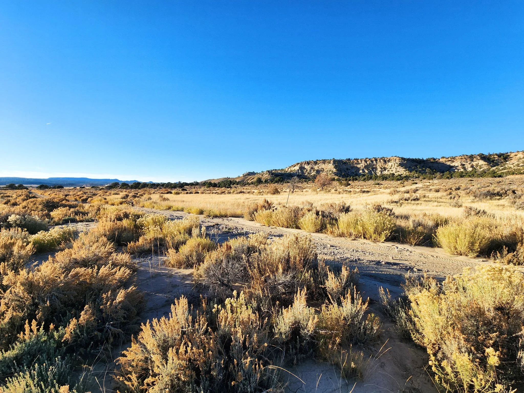 Spacious Desert Living on 6-Acres - Enjoy the Wilderness with & Water Available - Image 3