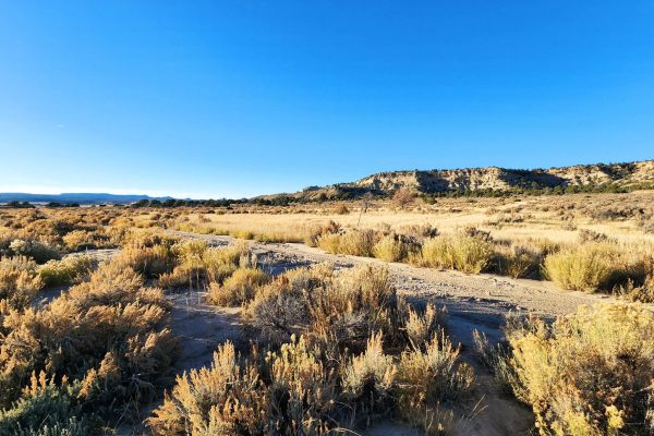 Spacious Desert Living on 6-Acres - Enjoy the Wilderness with & Water Available - Image 3