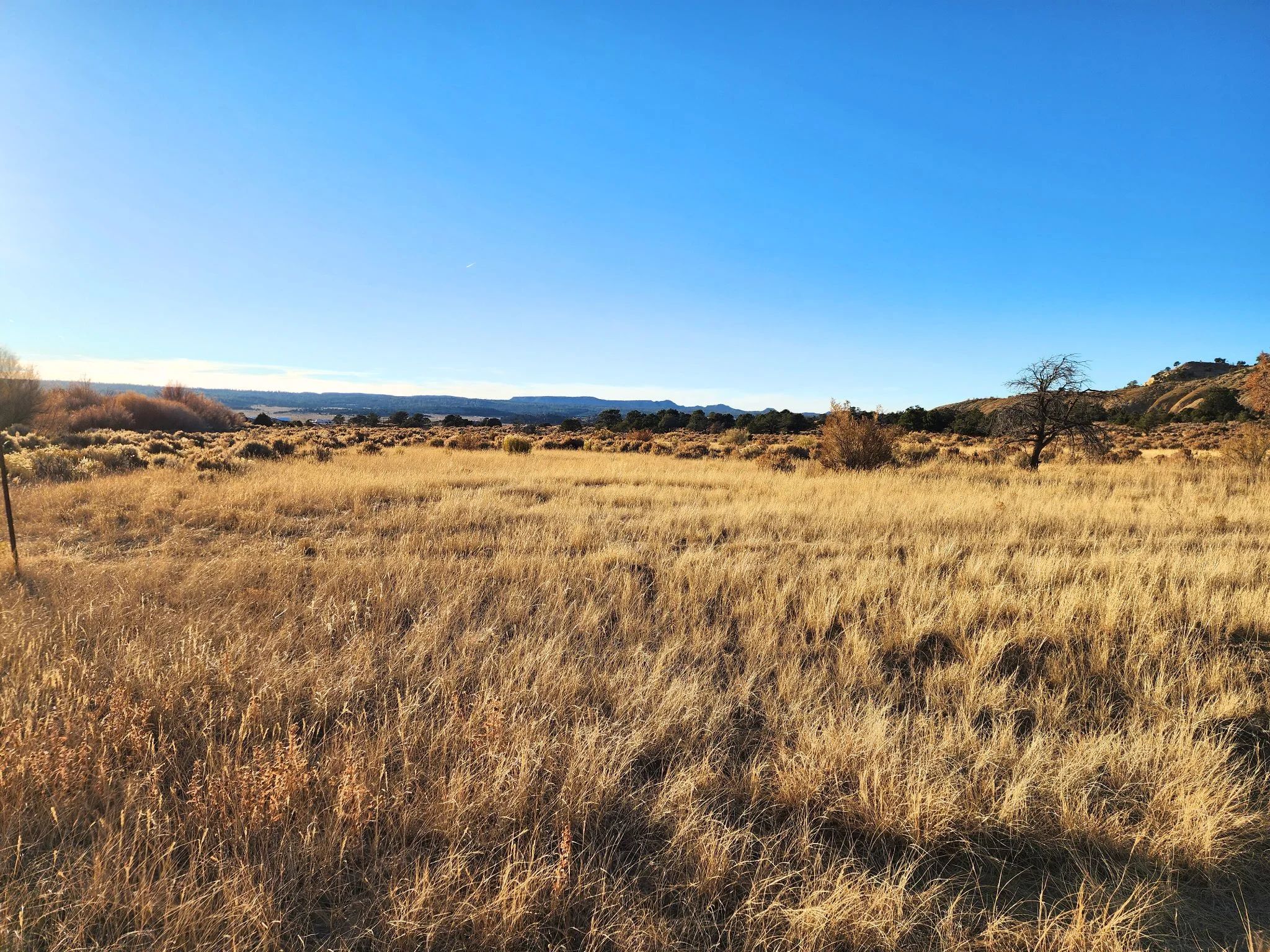 Spacious Desert Living on 6-Acres - Enjoy the Wilderness with & Water Available - Image 4