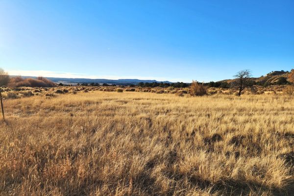 Spacious Desert Living on 6-Acres - Enjoy the Wilderness with & Water Available - Image 4