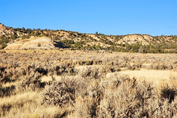 Spacious Desert Living on 6-Acres - Enjoy the Wilderness with & Water Available - Image 5