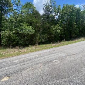 Twin Lakes 0.49ac Lot Horseshoe Bend AR in Izard County, AR