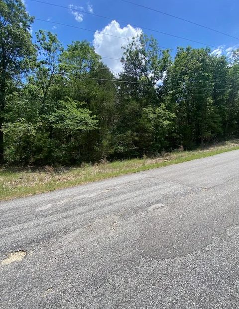 Twin Lakes 0.49ac Lot Horseshoe Bend AR in Izard County, AR