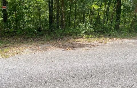 🌟 Add this Deed to your Portfolio at $100/mo., this is a Stellar Investment! 🌟 in Izard County, AR