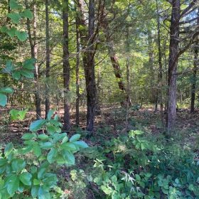 $140/mo for 48 mo to Retire next to 14th hole in Ozarks in Izard County, AR