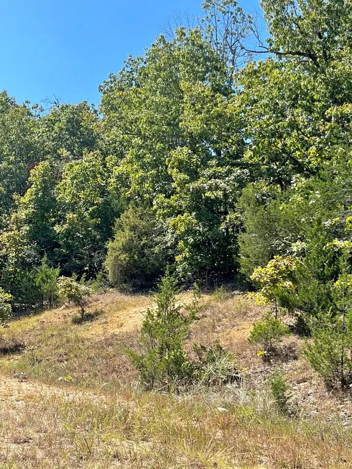 NC Wooded Lots