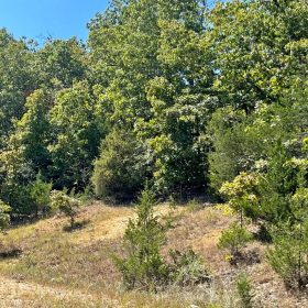 0.50 Acre Buildable Lot in Horseshoe Bend | $200 Down in Izard County, AR