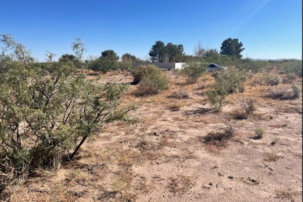 Luna, NM - 3054151048321 in Luna County, NM