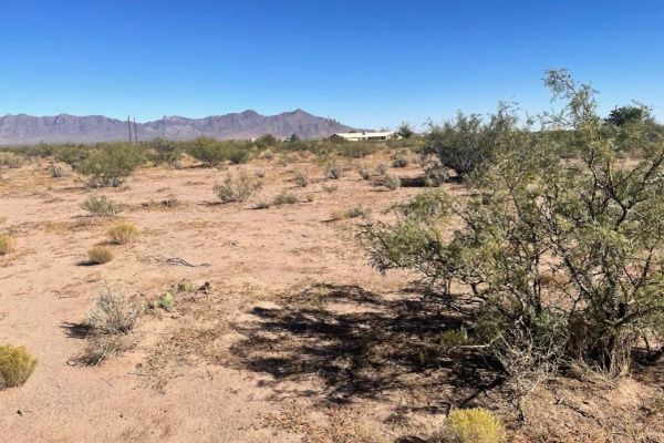 Luna, NM - 3054151048321 - Image 5