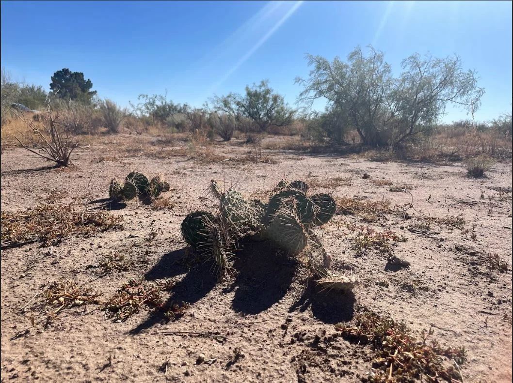 Luna, NM - 3054151048321 - Image 2