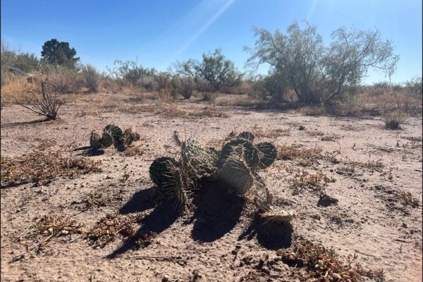 Luna, NM - 3054151048321 - Image 2