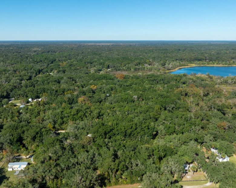 0.38 Acre Citra FL Property – Proximity to Gainesville and US-301 for Easy Access in Marion County, FL