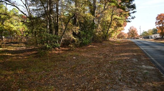 Versatile 2.4 Acre Property Near Downtown Hamlet, NC | Dual Road Access and Public Water in Richmond County, NC
