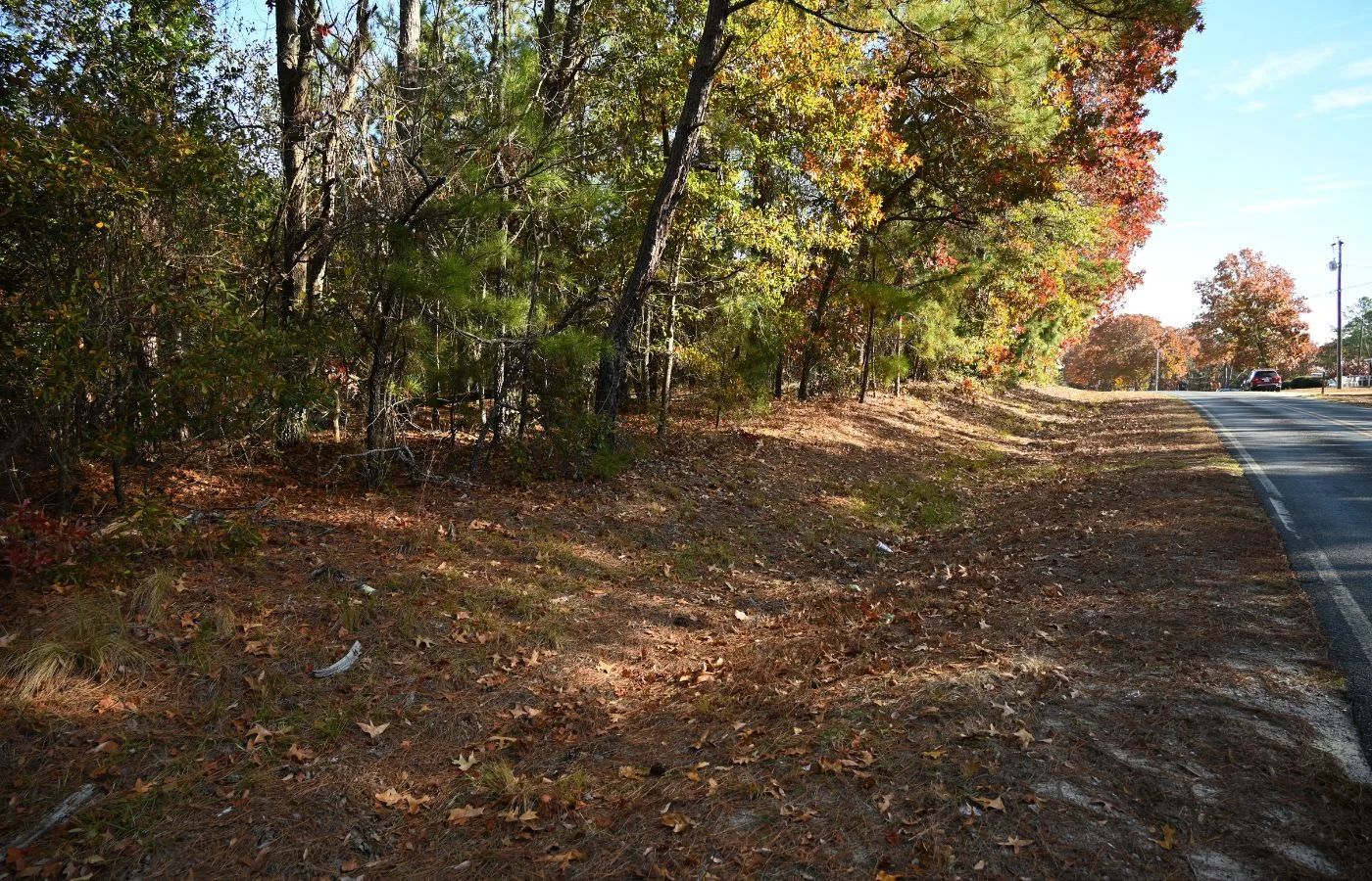 Versatile 2.4 Acre Property Near Downtown Hamlet, NC | Dual Road Access and Public Water in Richmond County, NC