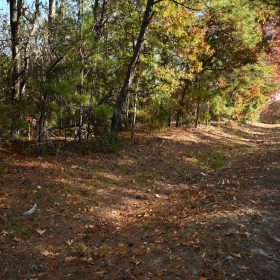 Versatile 2.4 Acre Property Near Downtown Hamlet, NC | Dual Road Access and Public Water in Richmond County, NC