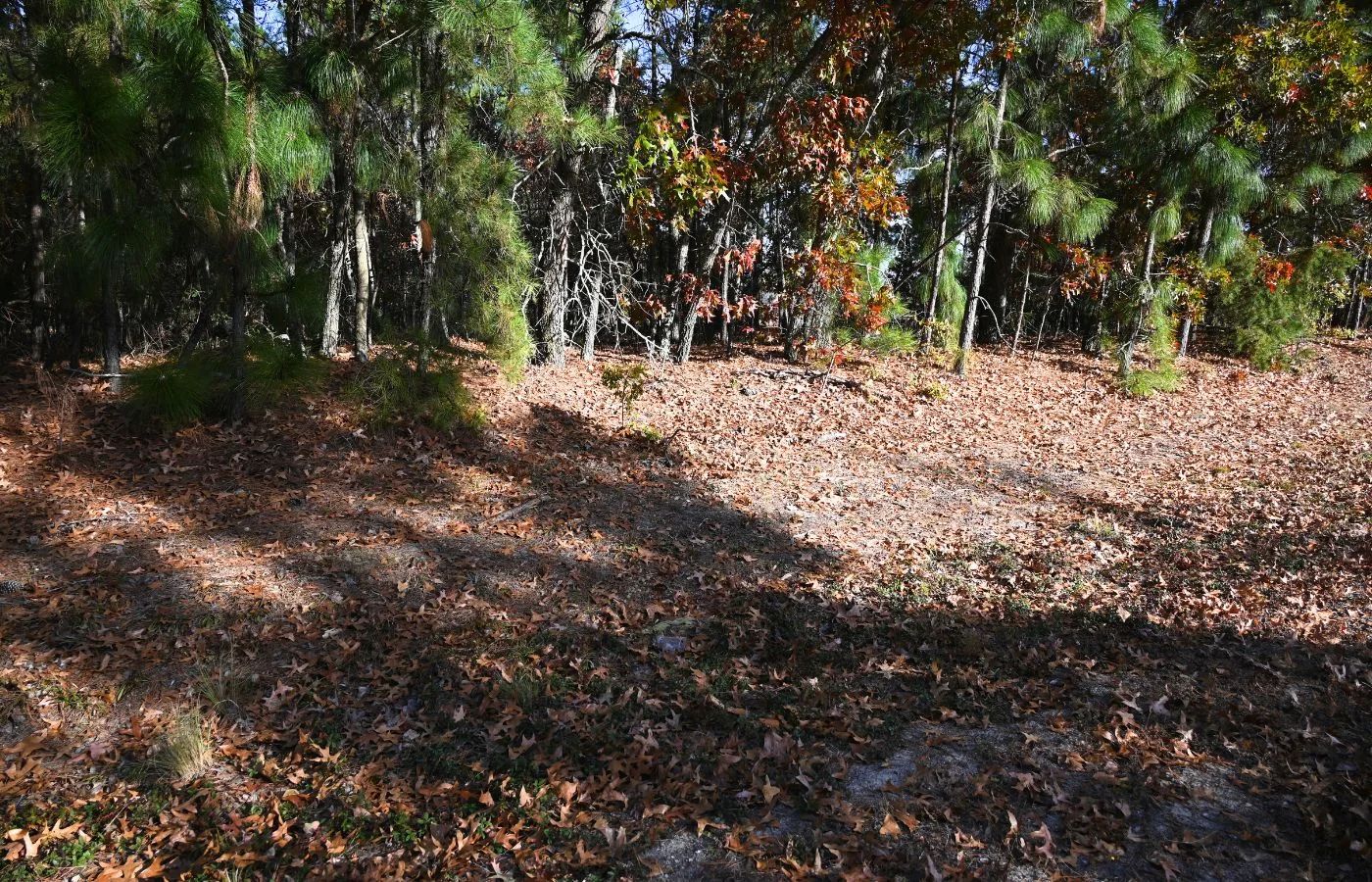 Versatile 2.4 Acre Property Near Downtown Hamlet, NC | Dual Road Access and Public Water in Richmond County, NC