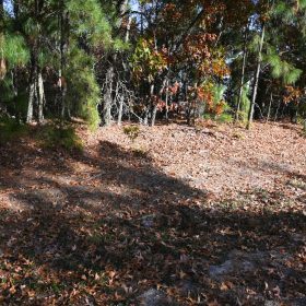 Versatile 2.4 Acre Property Near Downtown Hamlet, NC | Dual Road Access and Public Water in Richmond County, NC