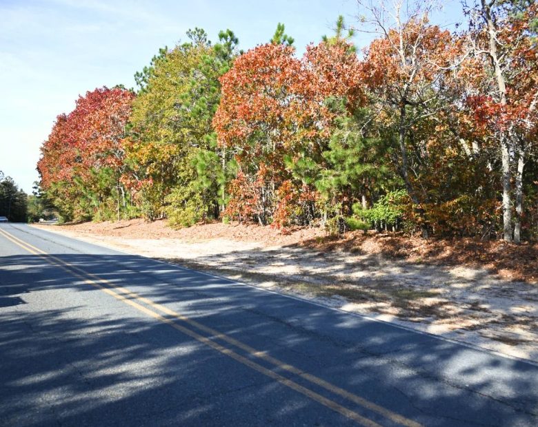 Versatile 2.4 Acre Property Near Downtown Hamlet, NC | Dual Road Access and Public Water in Richmond County, NC