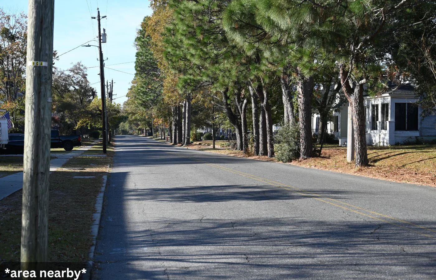 NC Wooded Lots