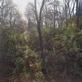 0.55 Acres in Pineville - Mecklenburg County, NC in Mecklenburg County, North Carolina