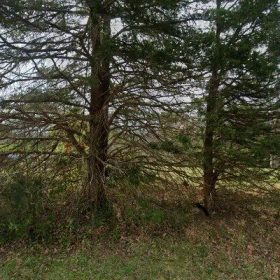 0.55 Acres in Ruffin - Rockingham County, NC in Rockingham County, North Carolina