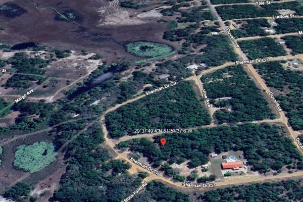 FL - Image 1
