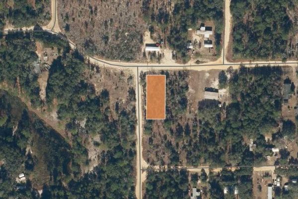 FL - Image 2