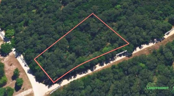 Pender County, NC Land For Sale – 0.91 Acres of Opportunity in Pender County, NC