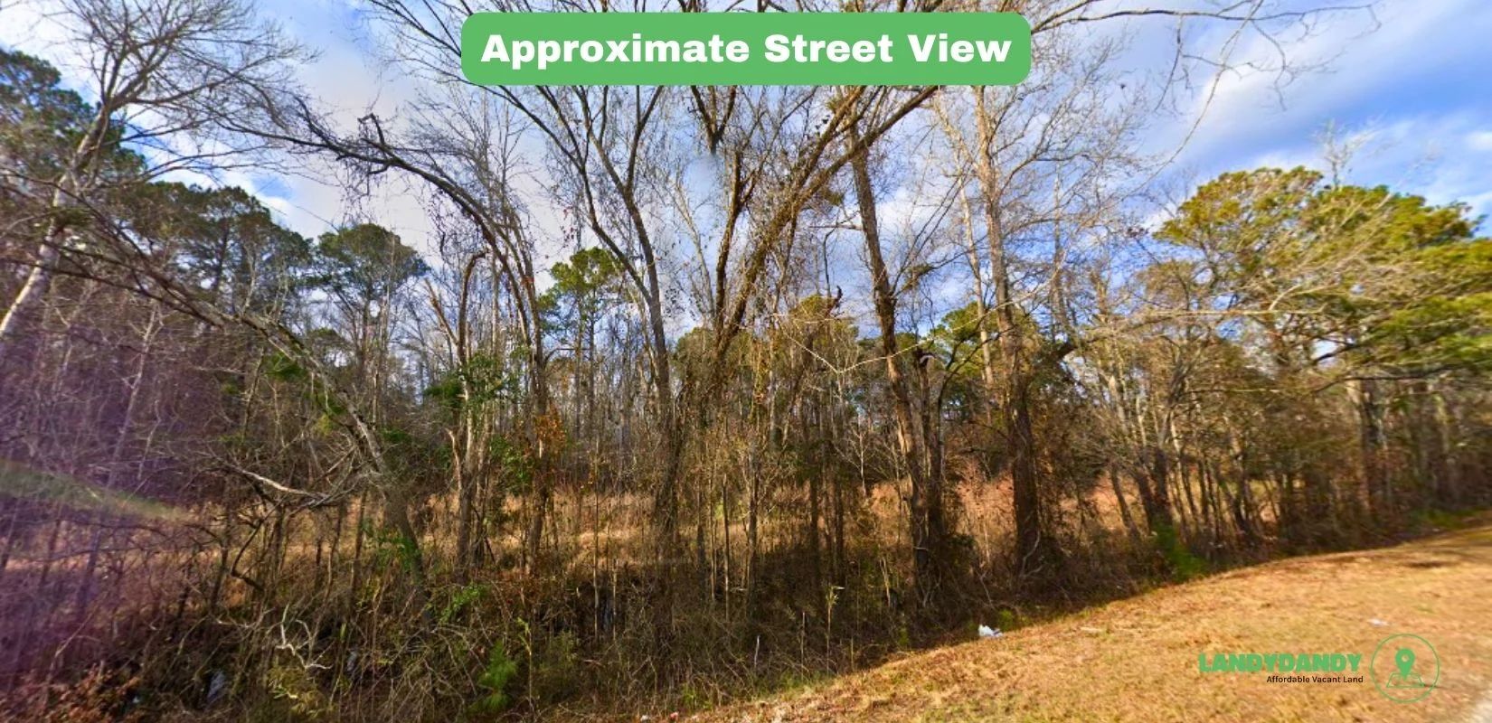 Pender County, NC Land For Sale – 0.91 Acres of Opportunity - Image 3