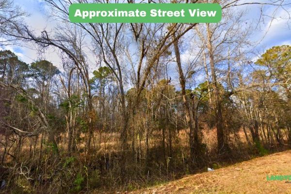 Pender County, NC Land For Sale – 0.91 Acres of Opportunity - Image 3