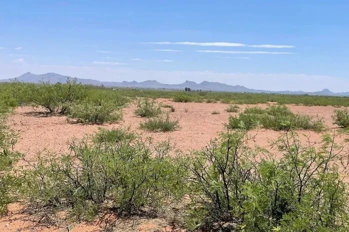 0.49 Acres for Sale in Douglas, Arizona - Image 1