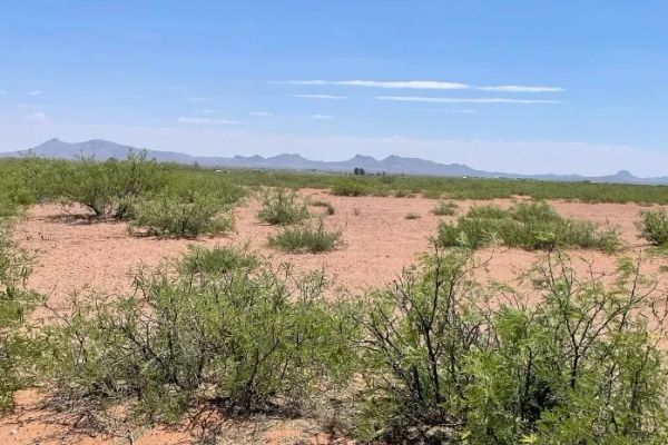 0.49 Acres for Sale in Douglas, Arizona - Image 1