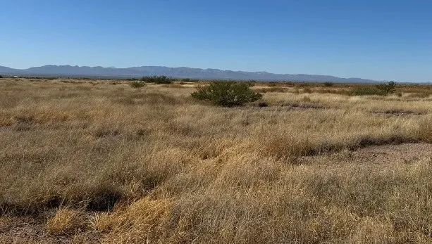 0.29 Acres for Sale in Douglas, Arizona - Image 1
