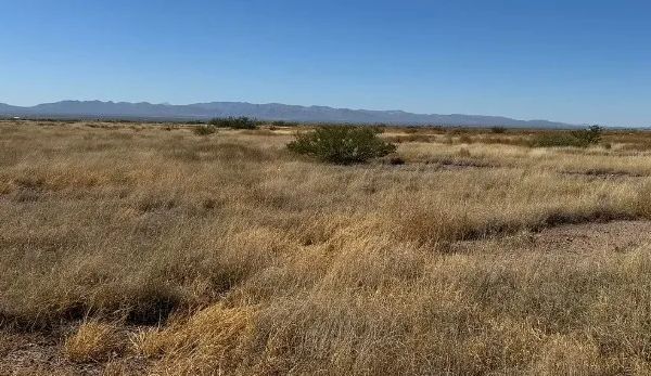 0.29 Acres for Sale in Douglas, Arizona - Image 1