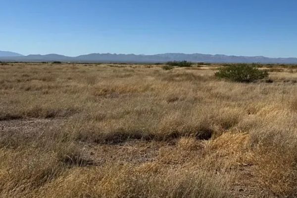 0.29 Acres for Sale in Douglas, Arizona - Image 2