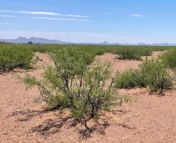 0.98 Acres for Sale in Douglas, Arizona - Image 2
