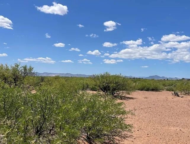 0.49 Acres for Sale in Douglas, Arizona - Image 1