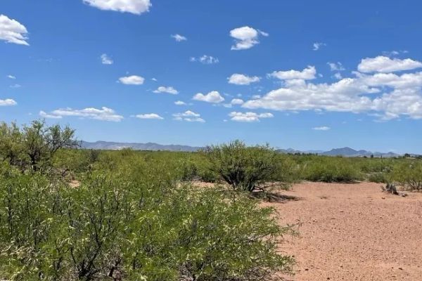 0.49 Acres for Sale in Douglas, Arizona - Image 1