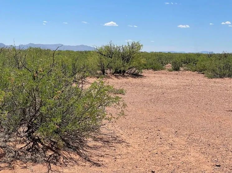 0.49 Acres for Sale in Douglas, Arizona - Image 2