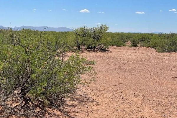 0.49 Acres for Sale in Douglas, Arizona - Image 2