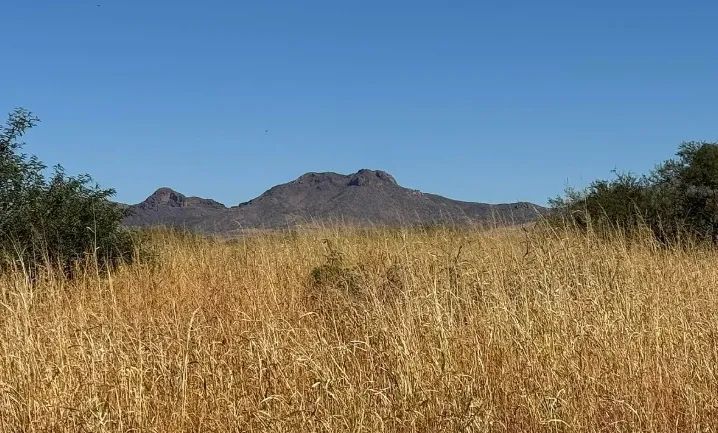 0.34 Acres for Sale in Douglas, Arizona - Image 1