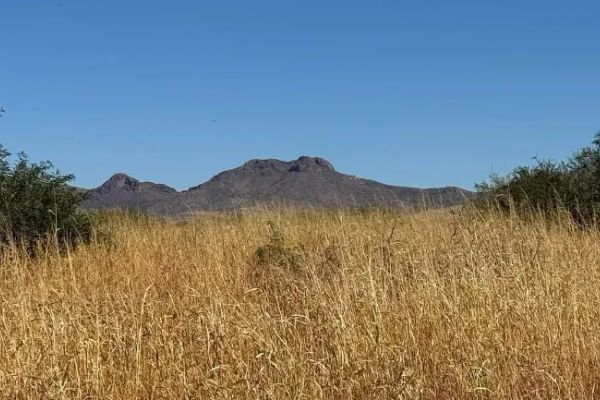 0.34 Acres for Sale in Douglas, Arizona - Image 1