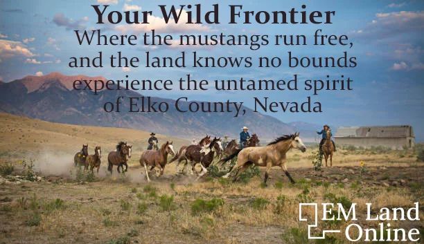 FLINT ST, ELKO, NV 89801 in Elko County, NV