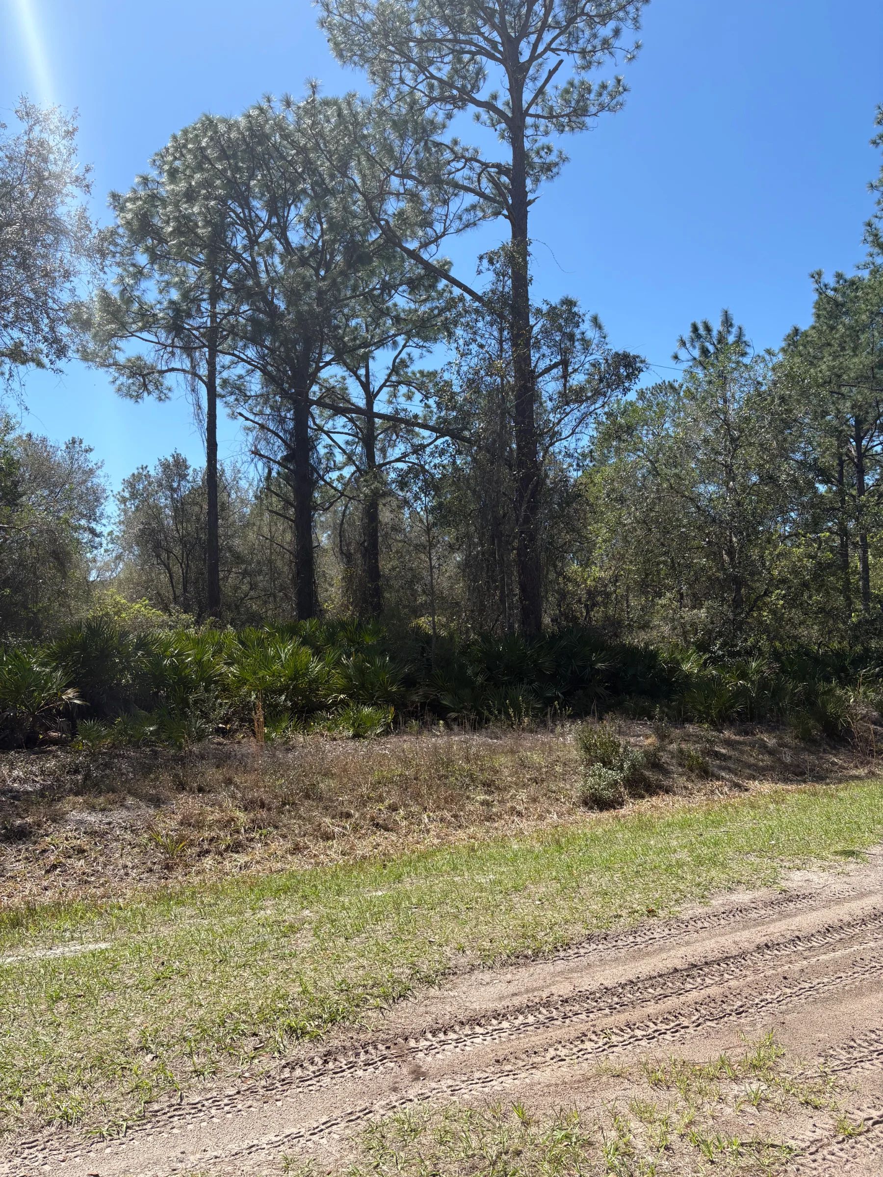 Lake Access FL Lot Only $195/Mo in Putnam County, FL