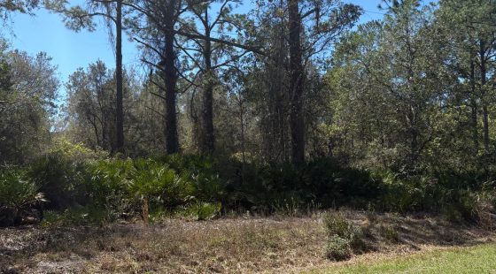 Lake Access FL Lot Only $195/Mo in Putnam County, FL