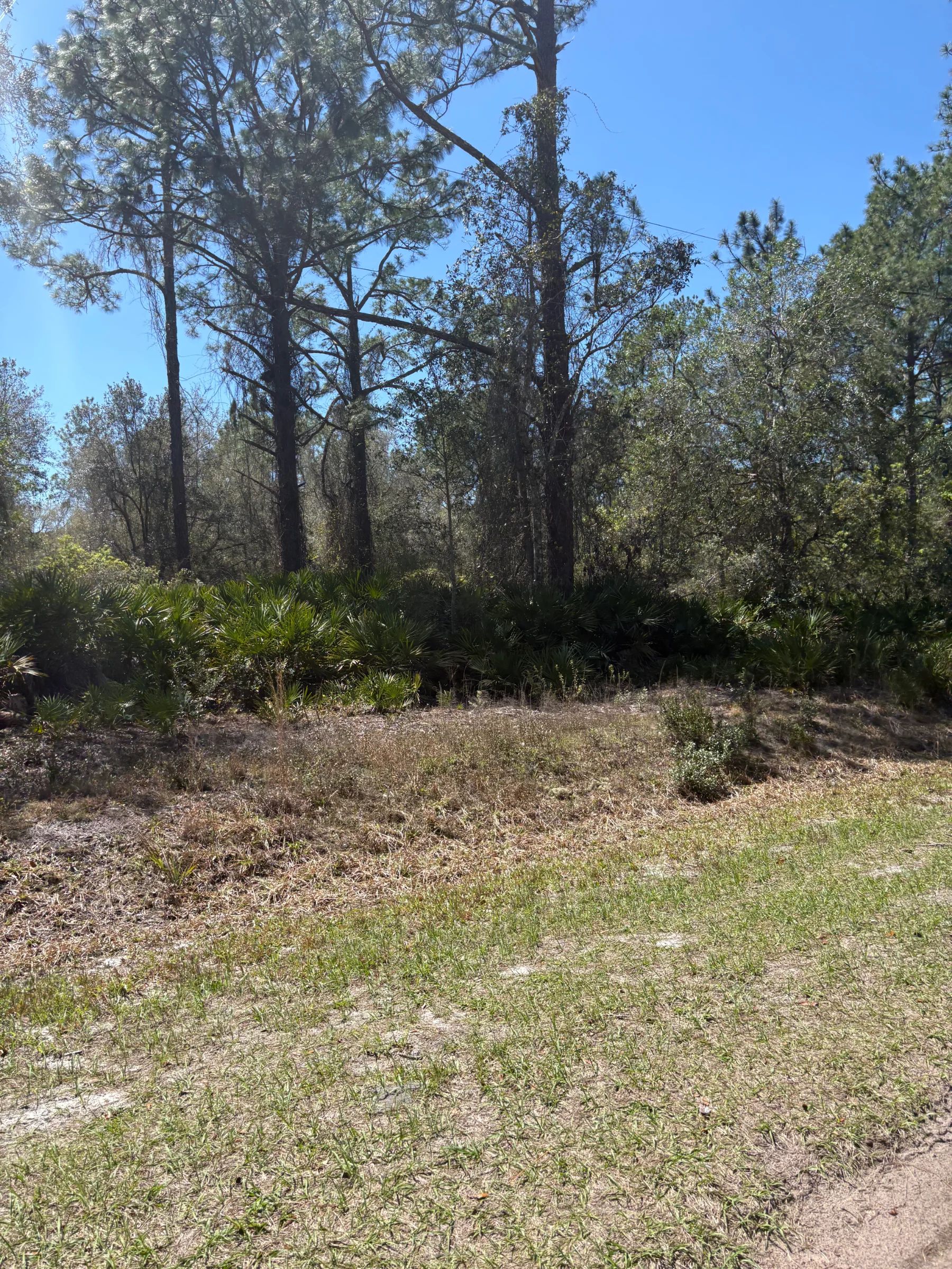 Lake Access FL Lot Only $195/Mo in Putnam County, FL
