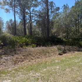 Lake Access FL Lot Only $195/Mo in Putnam County, FL