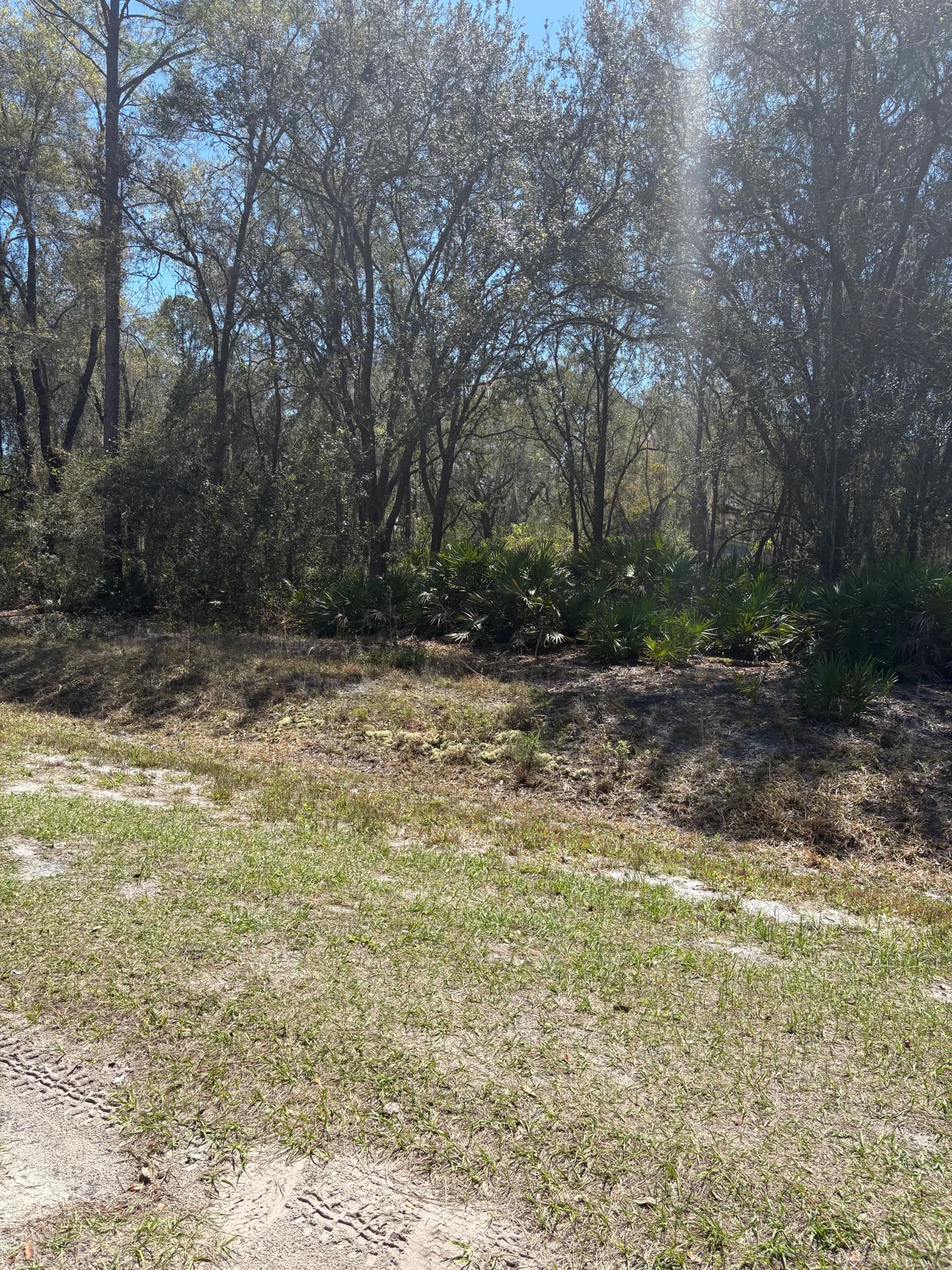 Lake Access FL Lot Only $195/Mo in Putnam County, FL